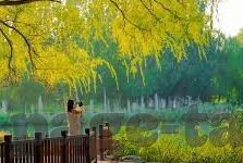 麻豆传媒app官网-网络世界的一角，关于某网络平台的避坑指南