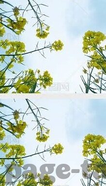 麻豆传媒林予曦-影片世界的冰山一角，麻豆传媒林予曦现象探析