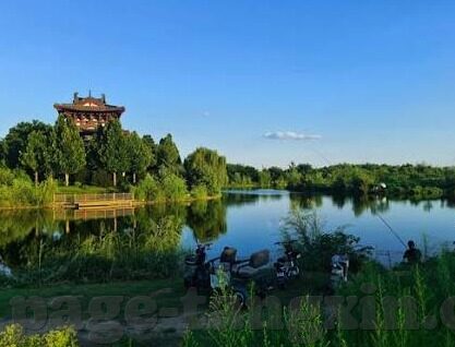 美国成人av网站麻豆-『游离于网络边缘的暗流——揭秘成人网站的幕后真相』