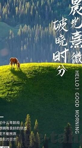 日韩国产成人av-探索日韩成人AV文化的多元视角