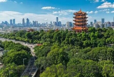 日韩一区二区av在线播放-日韩一区二区av在线播放，文化与法律的边界