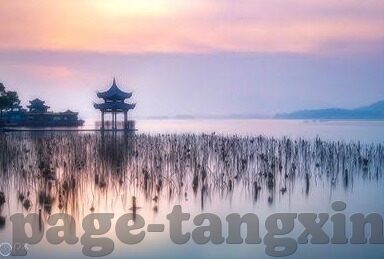怡红院成人在线视频-怡红院，成人娱乐文化的灰色地带